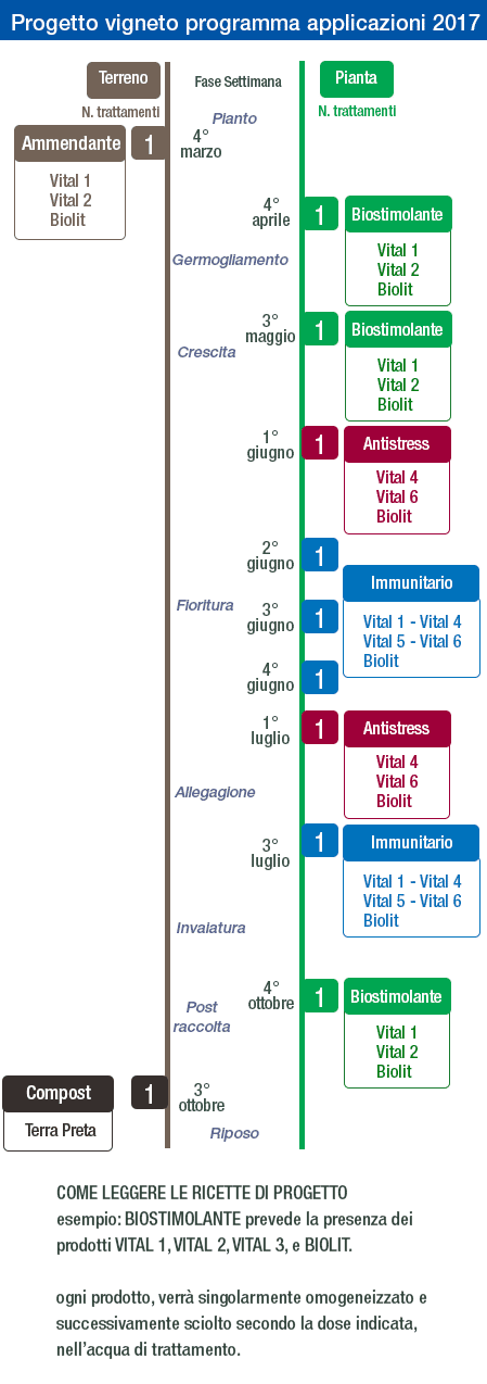 schema protocollo progetto vigneto