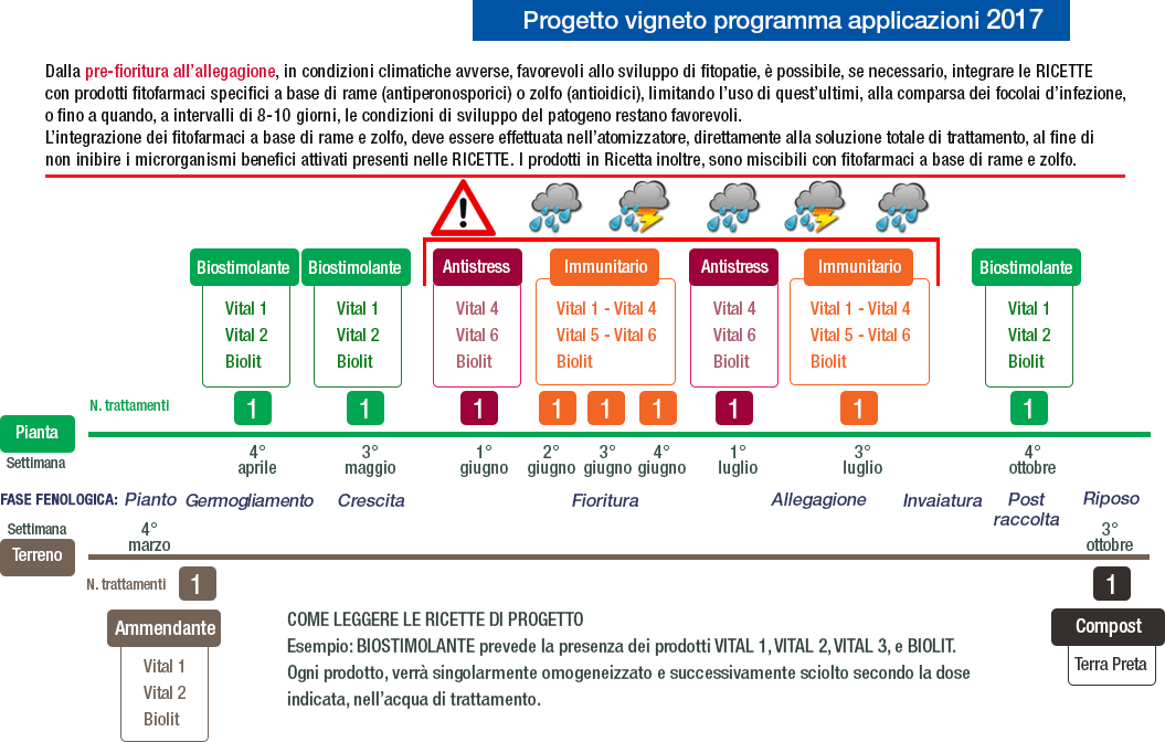 schema protocollo